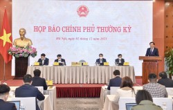 Tập trung thúc đẩy sản xuất kinh doanh; mở rộng hỗ trợ đối tượng gặp khó khăn do dịch COVID-19