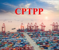 Quy định lập hồ sơ mời thầu dịch vụ tư vấn gói thầu thuộc Hiệp định CPTPP