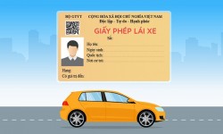 Tài liệu hướng dẫn đổi Giấy phép lái xe trực tuyến