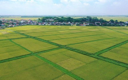 nongnghiep 1762508955247321140005 50 0 800 1200 crop 17625089584901979428819 (1)