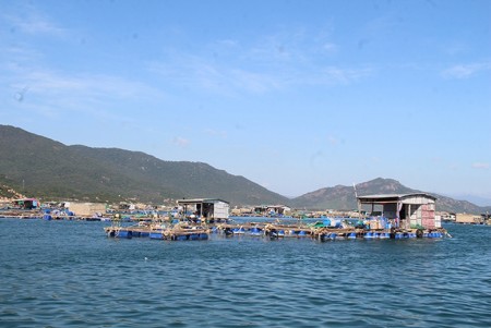 Nghị quyết 17/2026/NQ-CP: Cắt giảm, phân cấp, đơn giản hóa thủ tục hành chính, điều kiện kinh doanh thuộc phạm vi quản lý của Bộ Nông nghiệp và Môi trường