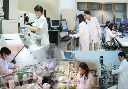 Thông tư 52/2026/TT-BKHCN: Danh mục vị trí công tác trong lĩnh vực khoa học, công nghệ phải định kỳ chuyển đổi