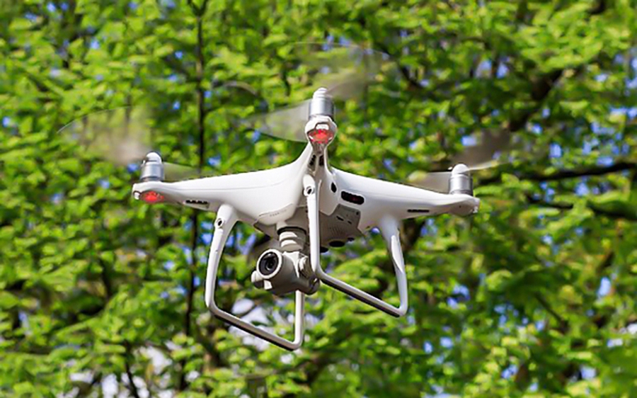 lai 17625809497611649994236 0 0 481 770 crop 1762580953445779923719